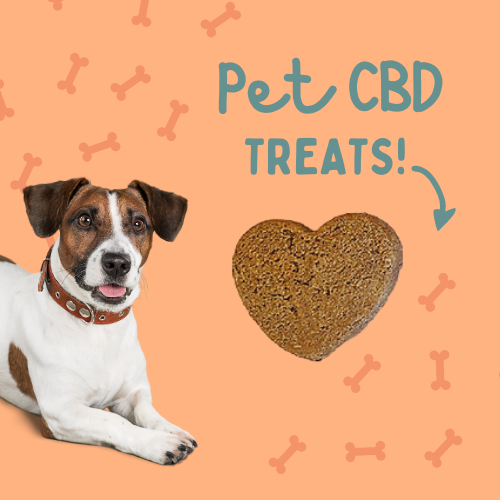 Cbd dog treats for allergies best sale